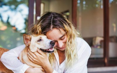 Traveling with Pets? Why Pet Friendly Vacation Rentals in Branson, MO Make September Getaways Better